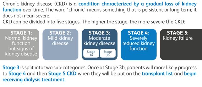 stages of kidney diet
