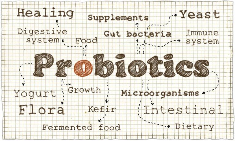 what are probiotics