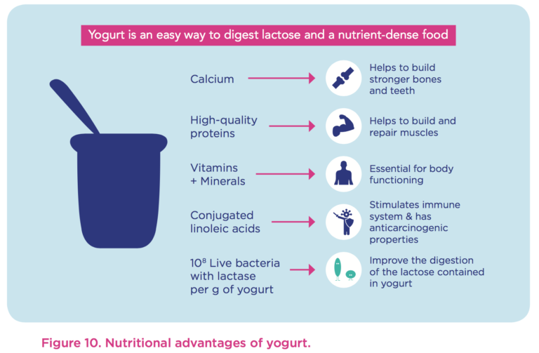 benefits of Yogurt