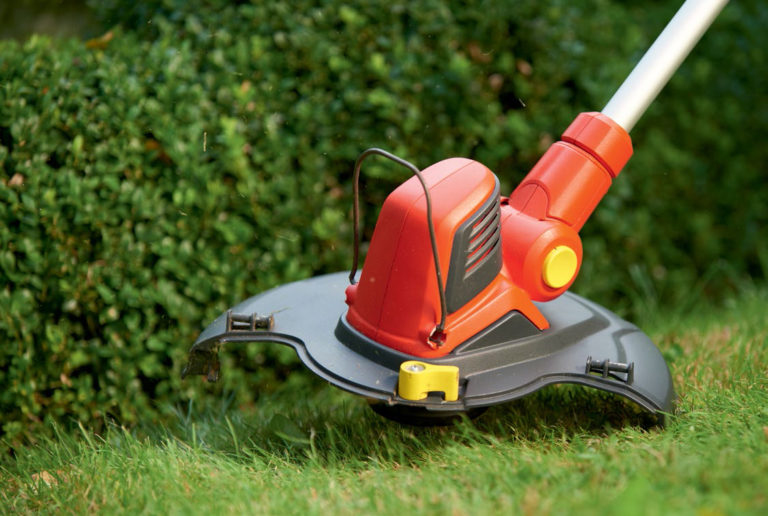 Basic tools for garden cleaning